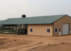 horse barn steel building