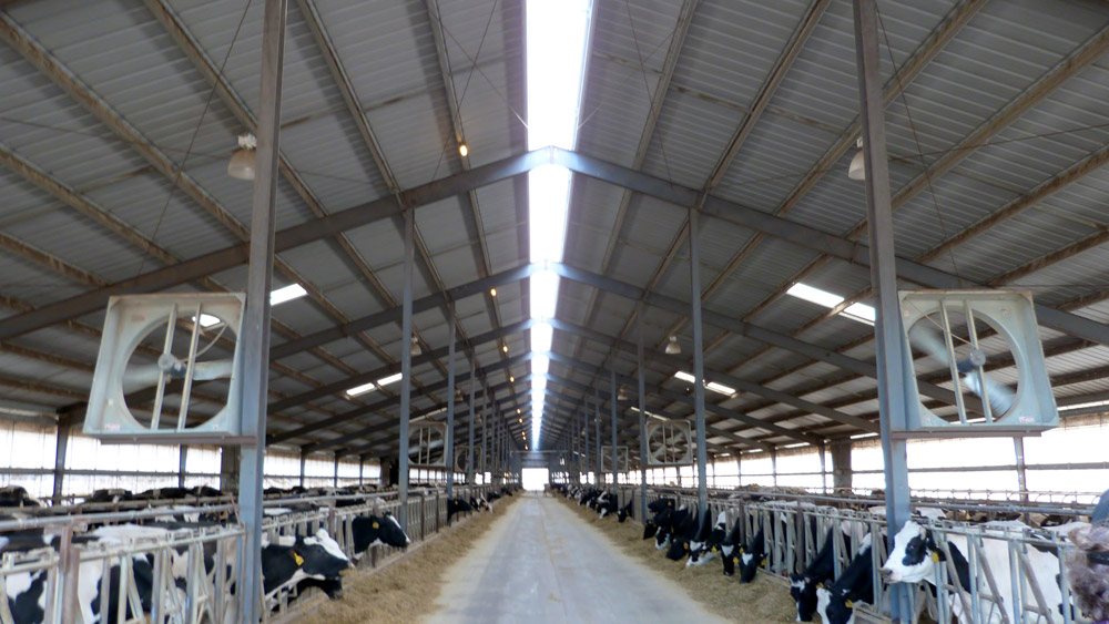 rigid frame steel buildings worldwide steel buildings
