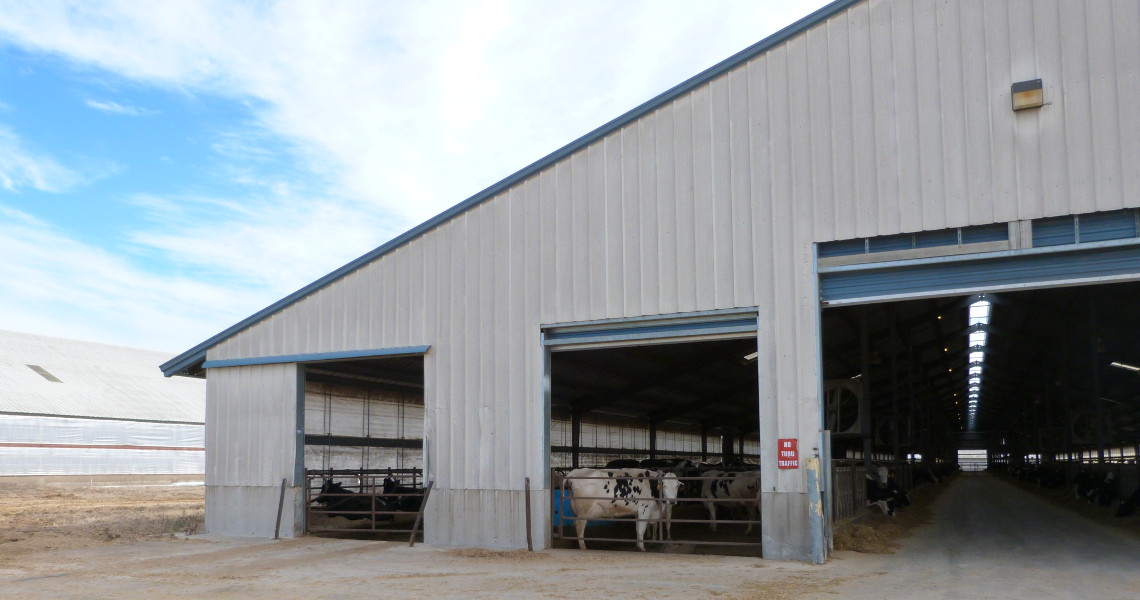 A large agricultural steel barn with open entrances houses several cows, visible inside. Situated in a rural area under a partly cloudy sky, the structure is made of sturdy metal and features a sloped roof.