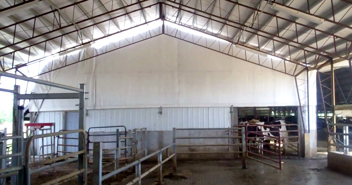 Interior of a barn with metal railings and gates, featuring an open side where a few cows are partially visible. The roof is supported by metal beams, and the floor appears concrete. Natural light enters from the open areas.