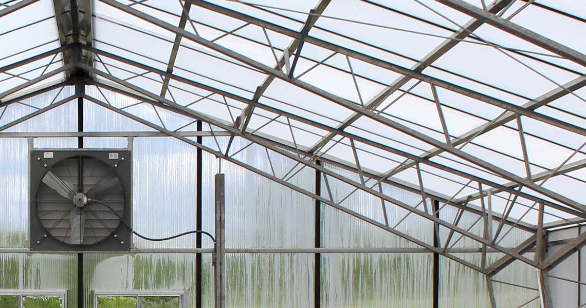 Interior view of a greenhouse roof with transparent panels and a large ventilation fan, reminiscent of a sleek pool house. The metal frame supports the structure, allowing light to filter through.