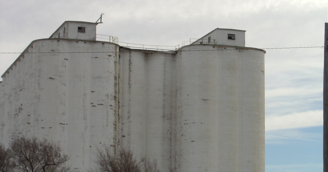 A large, white, cylindrical grain silo reminiscent of a bygone era stands weathered against a cloudy sky. Sparse trees adorn its base while the brighter blue patch of sky to the right offers a stark contrast to this monumental building.