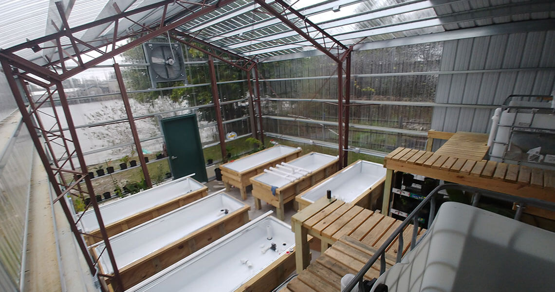 A greenhouse interior with several wooden aquaponics setups containing large white containers. Shelving and equipment are visible, along with potted plants along the perimeter. The greenhouse has a transparent roof and walls with plants outside.