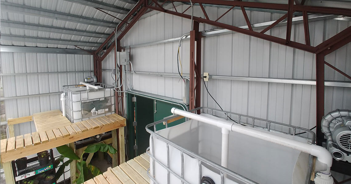 Indoor aquaponics system with large water tanks on wooden platforms inside a metal-framed structure. The setup includes pipes and equipment for water circulation, beneath a corrugated metal roof.