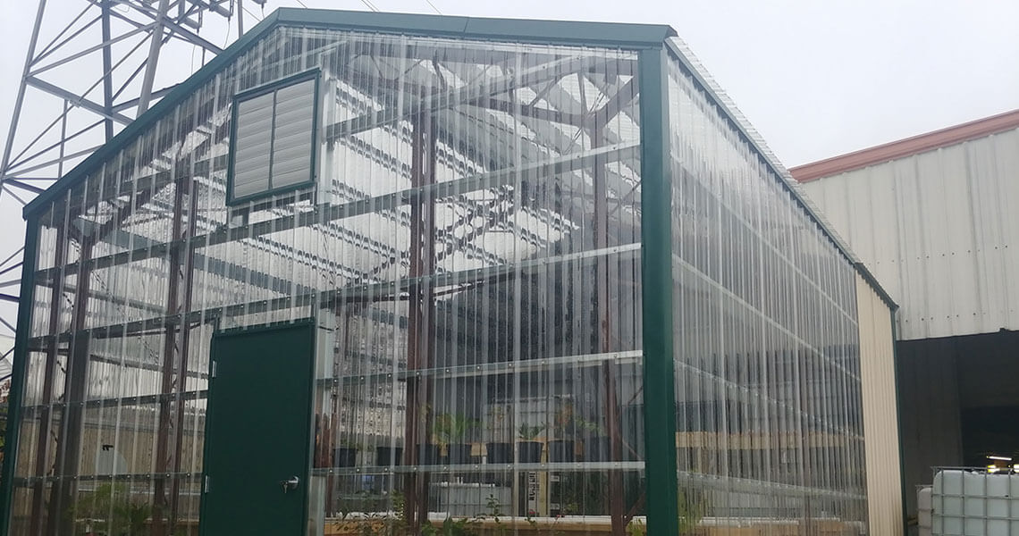 A transparent greenhouse with a dark green frame stands under an overcast sky beside towering commercial steel buildings. It features a vent window near the top, and small plants are visible inside.
