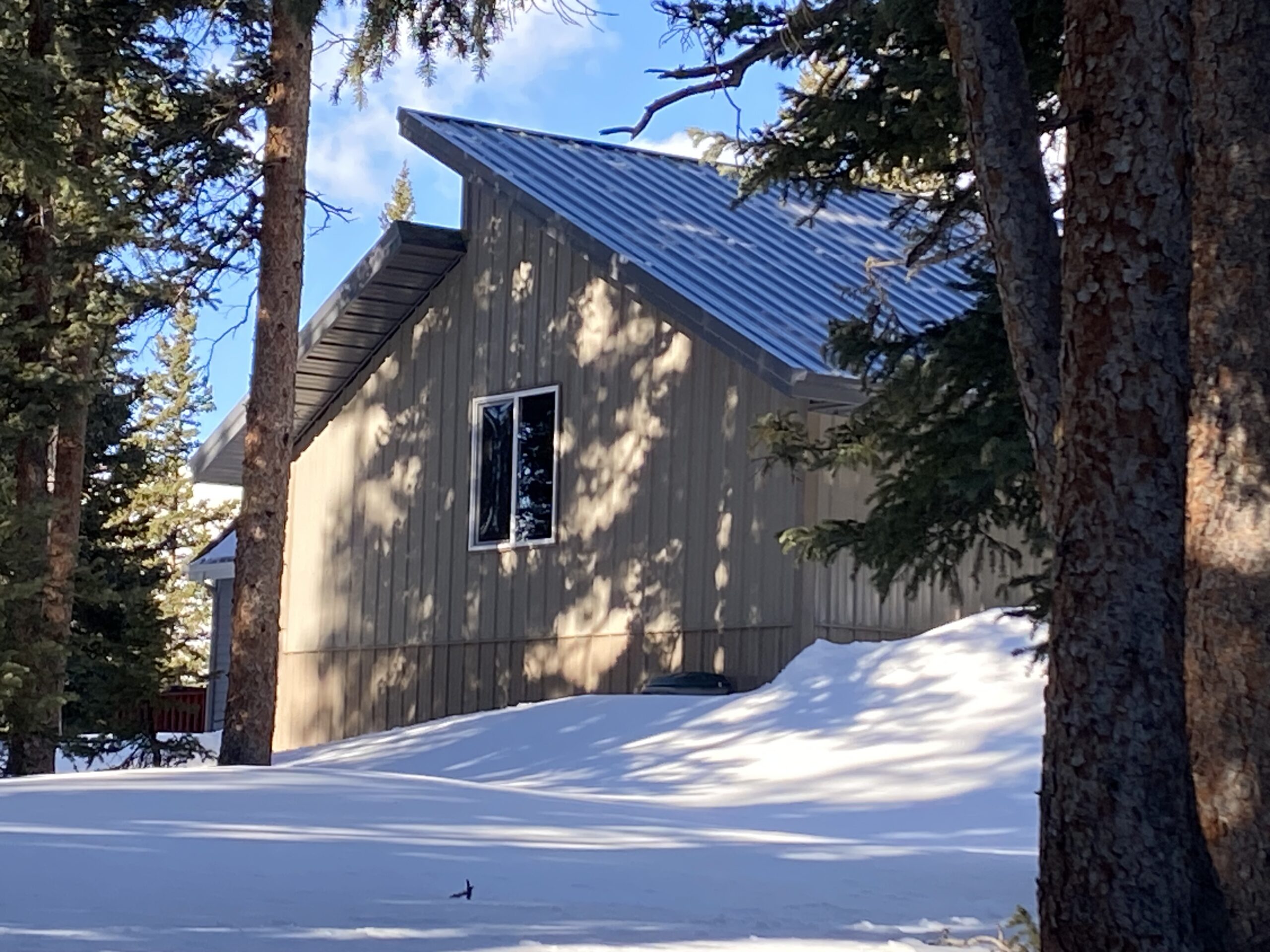 A small, wooden cabin with a metal roof stands amidst the snow-covered ground and tall pine trees of Colorado under a clear blue sky. Built to withstand the snow load, sunlight filters through the trees, casting shadows on the cabin and surrounding snow.