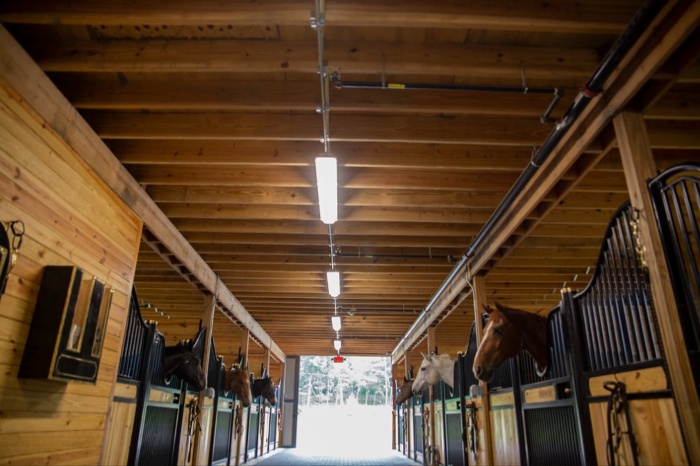 A stable interior with wooden walls and a row of horse stalls, each housing a horse with its head peeking out. The ceiling boasts exposed wooden beams with fluorescent lights. Sunlight streams in from the end of the corridor, evoking the sense of stepping into a serene riding arena.